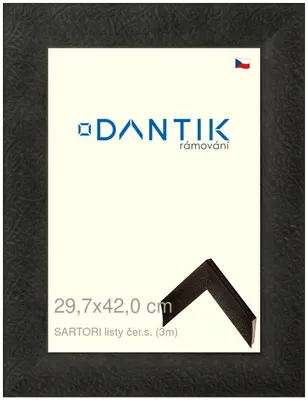 Zdjęcie produktu dla Ramka DANTIK 29,7x42 | Arkusze SARTORI czarne (pleksiglas przezroczysty)
