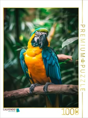 Produktbild von CALVENDO Puzzle Papagei | 1000 Teile Lege-Größe 64x48cm Foto-Puzzle für glückliche Stunden