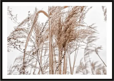 Produktbild von BILDPOSTER IM RAHMEN 33x43 cm Boho P2242
