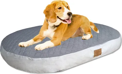 Produktbild von Orthopädisches Hundebett Hundekissen Hundesofa Katzenbett 110x65CM