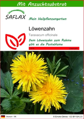 Produktbild von SAFLAX - Löwenzahn - Taraxacum officinale - 200 Samen - Mit keimfreiem Anzuchtsubstrat