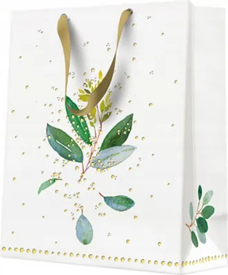 Produktbild von Geschenktüte Kommunion Taufe Eukalyptus 20x25x10cm