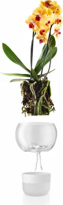 Immagine prodotto di Vaso per orchidee Eva Solo - Ø15 cm. - autoinnaffiante