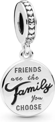 Produktbild von PANDORA Charm Anhänger "Freunde sind Familie" 798124EN16
