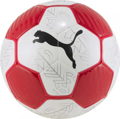Zdjęcie produktu dla Piłka Puma 08399202