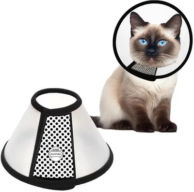 Immagine prodotto di Collare per animali domestici - Collare protettivo per la riabilitazione - Taglia 22-26 cm