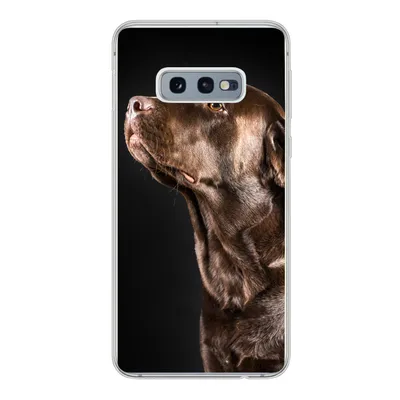 Produktbild von MuchoWow® Handyhülle Schutzhülle Hülle für Samsung Galaxy S10e Hund - Braun - Porträt Silikon Softcase Handy Hülle - Handy