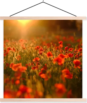 Produktbild von MuchoWow® Textilposter Orangefarbenes Leuchten über den Mohnblumen auf dem Feld 40x40 cm mit holzfarbenen Rahmen - Posterleiste