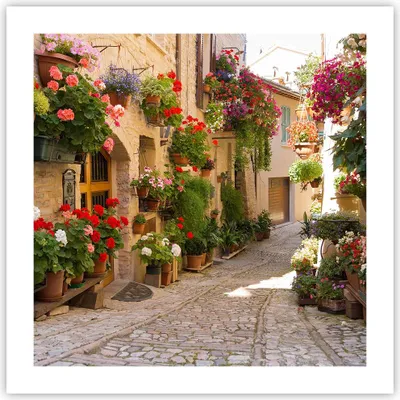 Produktbild von Poster - Poster ohne Rahmen - Blume Straße Haus - 50x50 cm - Wand Bild - Wanddeko - Wandbilder - Kunstposter - Wandposter - Bilder - Kunstdruck - Wanddekoration - Wandbild - P2XAC50x50-3586