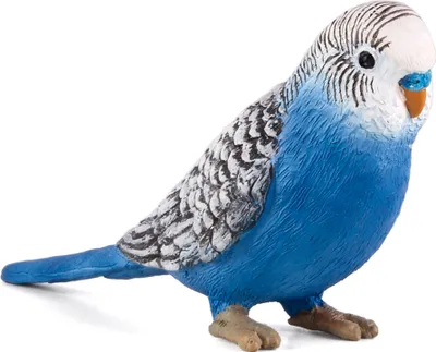 Immagine prodotto di Mojo 387292 Animal Planet pappagallino blu circa 7,5 x 2 x 4 cm