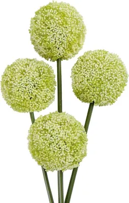 Productafbeelding van Unyqoos® Set van 4 kunstplanten Allium, 66 cm (bloemdiameter 9 cm), witte decoratieve bloemen van kunststof en Polyurethanlatex, zeer realistisch, geschikt voor bruiloften, woonkamers, kantoren