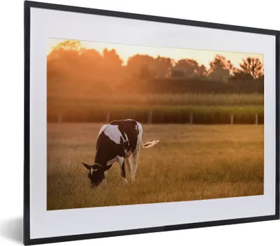 Produktbild von MuchoWow® Gerahmtes Poster Kuh - Sonne - Tiere 40x30 cm - Poster mit Schwarzem Bilderrahmen Wandposter Rahmen Foto Bilder - Bilderrahmen - Poster im Rahmen