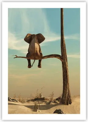 Produktbild von Poster - Poster ohne Rahmen - Elefant sitzend Ast - 50x70 cm - Wand Bild - Wanddeko - Wandbilder - Kunstposter - Wandposter - Bilder - Kunstdruck - Wanddekoration - Wandbild - P2XPA50x70-4557