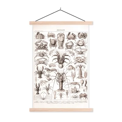 Produktbild von MuchoWow® Textilposter Hummer - Meerestiere - Schwarz - Weiß 40x60 cm mit holzfarbenen Rahmen - Poster