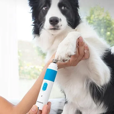 Produktbild von InnovaGoods - Elektrische Nagelfeile für Haustiere, 2 Geschwindigkeiten, geräusc