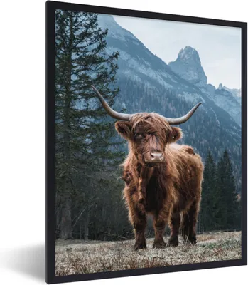 Produktbild von MuchoWow® Gerahmtes Poster Schottischer Highlander - Tiere - Wald 60x80 cm - Poster mit Schwarzem Bilderrahmen Wandposter Rahmen Foto Bilder - Premium - Wanddeko Wohnzimmer
