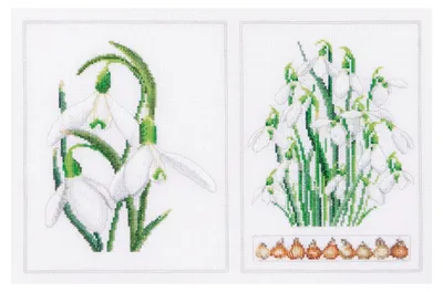 Kreuzstich-Set Schneeglöckchen, Aida 34x22 cm, DIY