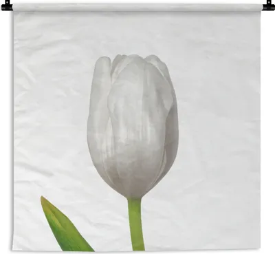 Produktbild von MuchoWow® Wandteppich Wandbehang Nahaufnahme der Blätter einer weißen Tulpe 60x60 cm Tapisserie Dekoration Wandtuch - Dekorationen - Wand Decke