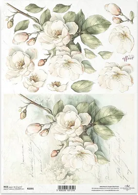 Zdjęcie produktu dla Papier ryżowy do decoupage A4 ITD-R2591 kwiaty jabłoni