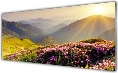 Produktbild von Acrylglasbilder 125x50 Wandbild Druck Gebirge Wiese Landschaft