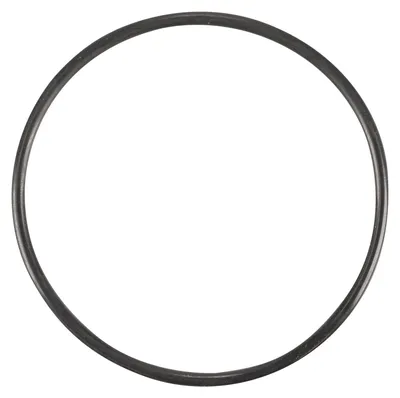 Immagine prodotto di Guarnizione del termostato originale (OE) (14459780) - Codice: 14459780