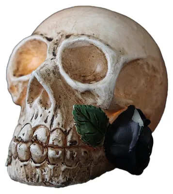Produktbild von Halloween-Dekoration, Halloween-Totenkopf-Licht, batteriebetriebener LED-Totenkopf mit Rosenblüte