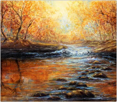 Produktbild von Spritzschutz Herdabdeckplatte Schneidebrett aus Glas Sonnenstrahlen im Wald 1-Teilig (60x52cm)