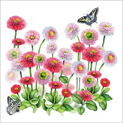 Produktbild von Servietten Papier 33x33cm 3-lagig mit rosa Gänseblümchen Motiv 20 Stk.