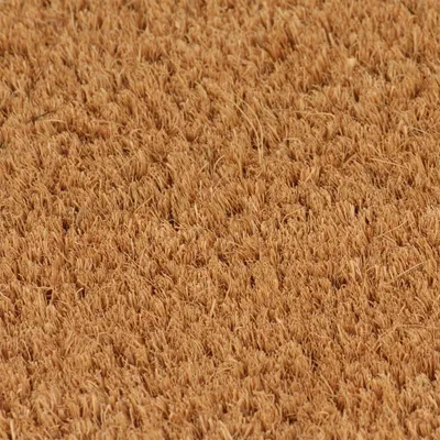 Productafbeelding van Binnenmat natuurlijke vezels, 40x60 cm, van kokosvezel, getuft