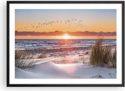 Produktbild von Gerahmtes Poster - Schwarzer Rahmen - Sonne Strand Vögel - 70x50 cm - Wand Bild - Wanddeko - Wandbilder - Kunstposter - Wandposter - Bilderrahmen - Bilder - Kunstdruck - P2BAA70x50-4727