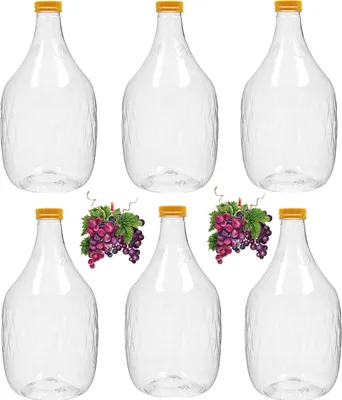 Produktbild von 6 x 5L Weinflasche Weinballon aus Kunstoff GÄRBALLON Ballonflasche Gallone