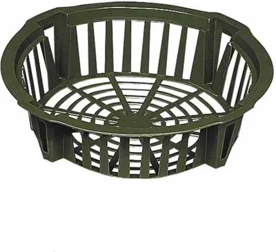 Image de EGUFER 917-1191 Plante à bulbes 22 cm ronde, verte (paquet de 3)