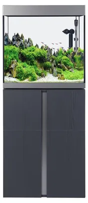 Produktbild von Fluval Siena 166 Aquarium Set grafit