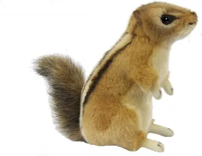 Plüsch-Eichhörnchen Kuscheltier 23 cm realistisch Stofftier für Kinder