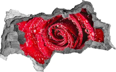 Produktbild von Selbstklebender Loch-3D-Aufkleber 95x73 cm Wassertropfen auf Rosen