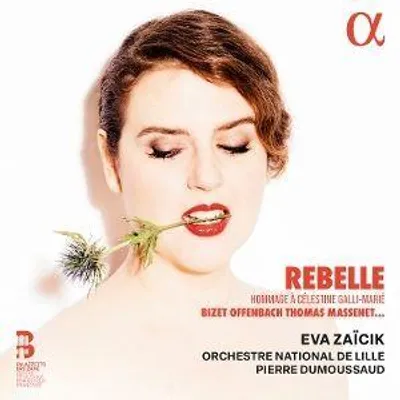 Produktbild von Dumoussaud, P: Rebelle