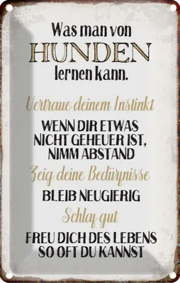 Produktbild von vianmo Blechschild 30x20 cm was man von Hunden lernen kann Tier Haustier Hund