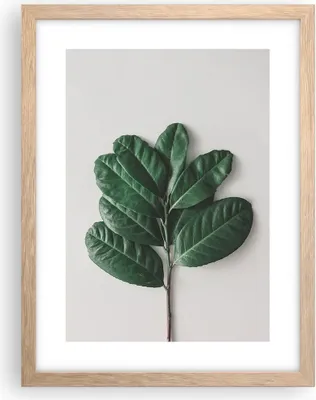 Produktbild von Gerahmtes Poster - Rahmen in heller Eiche - Blätter Pflanzen Botanik - 30x40 cm - Wand Bild - Wanddeko - Wandbilder - Kunstposter - Wandposter - Bilderrahmen - Bilder - Kunstdruck - P2NPA30x40-4956