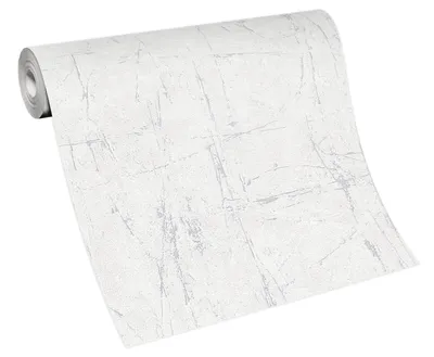 Produktbild von Erismann Vliestapete 10320-31 Evolution, Putzstgruktur hellgrau, 10,05 x 0,53 m