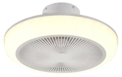 Immagine prodotto di ventilatore e plafoniera a soffitto 'mjolby' ø 45 cm
