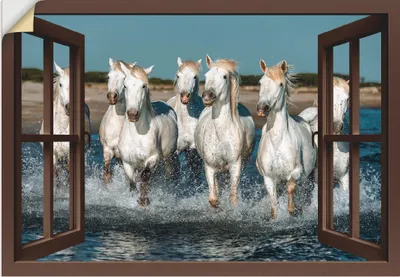 Produktbild von ARTland Wandbild, selbstklebend Fensterblick Pferde am Strand Größe: 70x50 cm