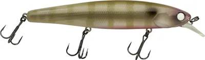 Produktbild von Illex Arnaud 110 F (Dying Blue Gill)