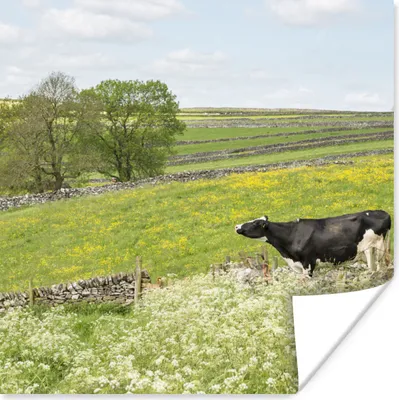 Produktbild von MuchoWow® Poster Kuh - Blumen - Tiere 50x50 cm - Wohnzimmerdekoration