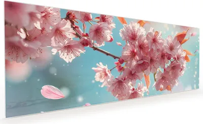 Produktbild von Küchenrückwand Spritzschutz Glas mit Motiv Kirschblüte Himmel 40 x 40 cm