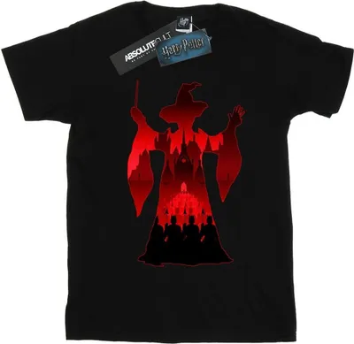 Produktbild von Harry Potter - T-Shirt für Herren BI29645 (M) (Schwarz)