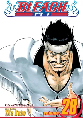 Produktbild von Bleach, Vol. 28