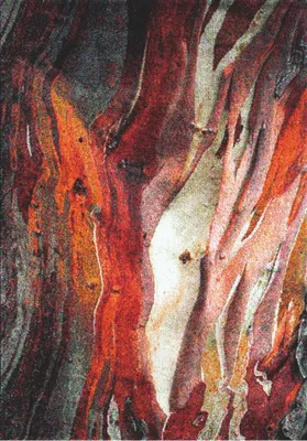 Zdjęcie produktu dla 80x150 cm Kawałek dywanu Rust red 21304-910