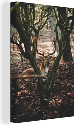 Obrázok produktu pre OneMillionCanvasses® - Obrazy na plátne - 90x140 cm, Deer - Forests - Antlers, Wall Art Print Wall Decoration - Nástenná dekorácia - Spálňa