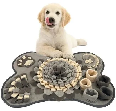 Produktbild von Geurtrainingsmatten für Hunde und Katzen | Aktivitätsmatten | Slowfood-Spielzeug