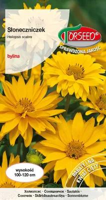 Produktbild von Gelbe Sonnenblumenkerne 1g - Torseed